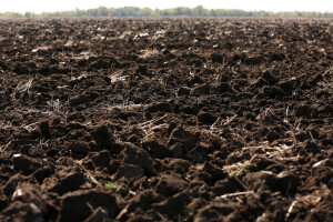 Kako smanjiti ranjivost hrvatskog agrara na klimatske promjene?