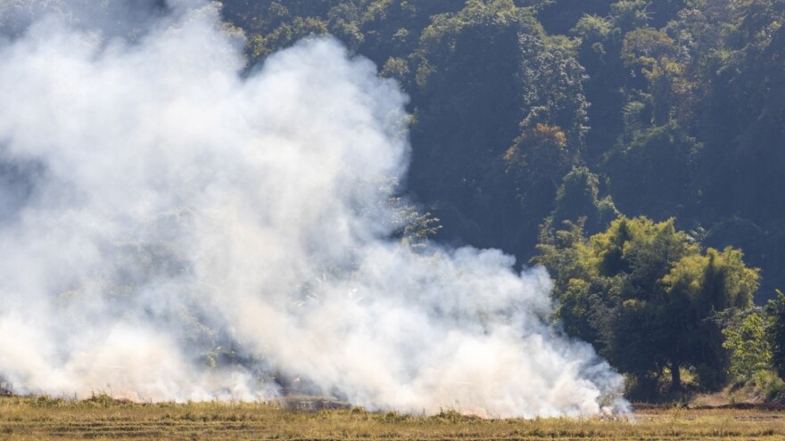 Modričaninu u požaru izgorjelo 90 stabala šljive
