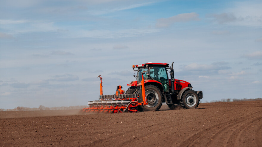 Koliko gusto sijati kukuruz i o čemu to ovisi?