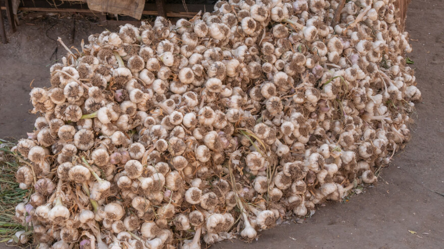 Albanski i kineski bijeli luk potisnuli domaći