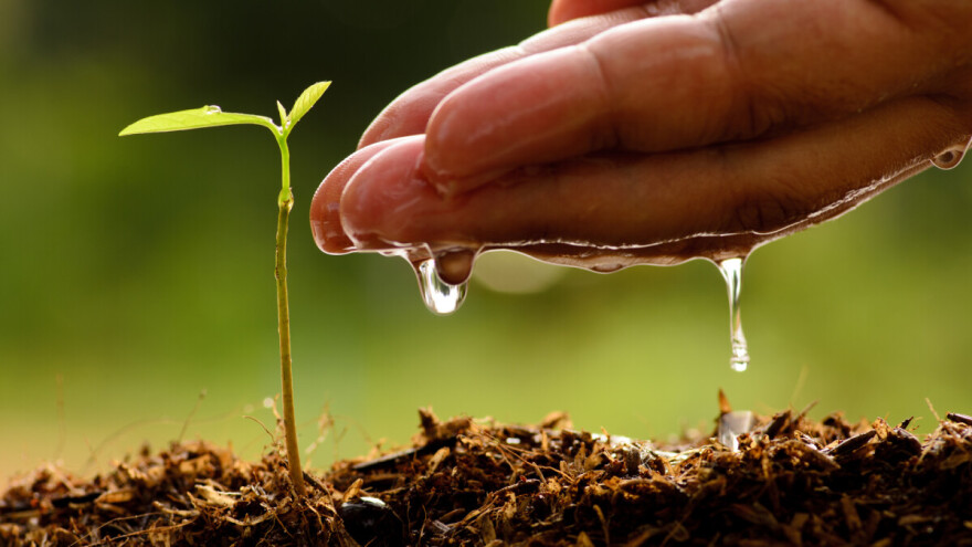 OBŽ odobrila još 2 milijuna kuna potpora, većina se odnosi na male OPG-ove