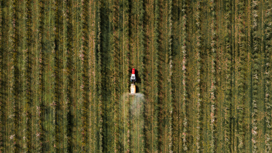 Trajni nasadi u EU do 2035. - šta će biti s grožđem, jabukama, paradajzom, maslinama?