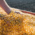 Cena kukuruza mravljim koracima ide na gore, pšenica - 20 din/kg bez PDV-a