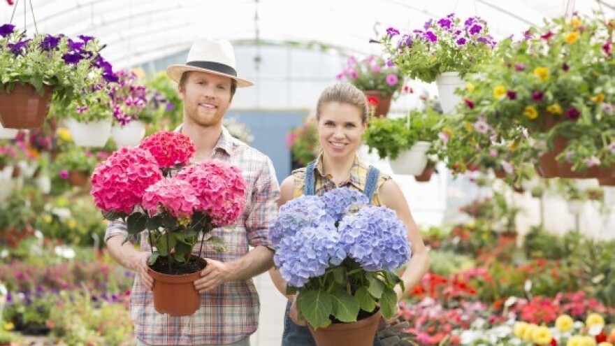 Posjetite međunarodni sajam hortikulture!