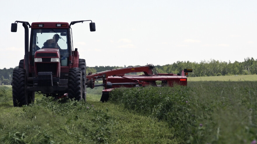Prvi otkos lucerke kasni više od dve nedelje - senaža najbolje rešenje