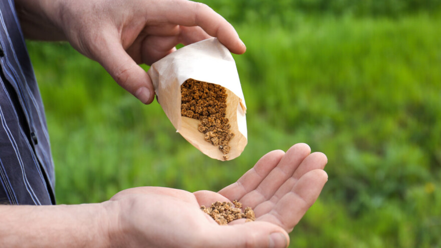 SAD preplavili tajanstveni paketi sjemenki iz Kine