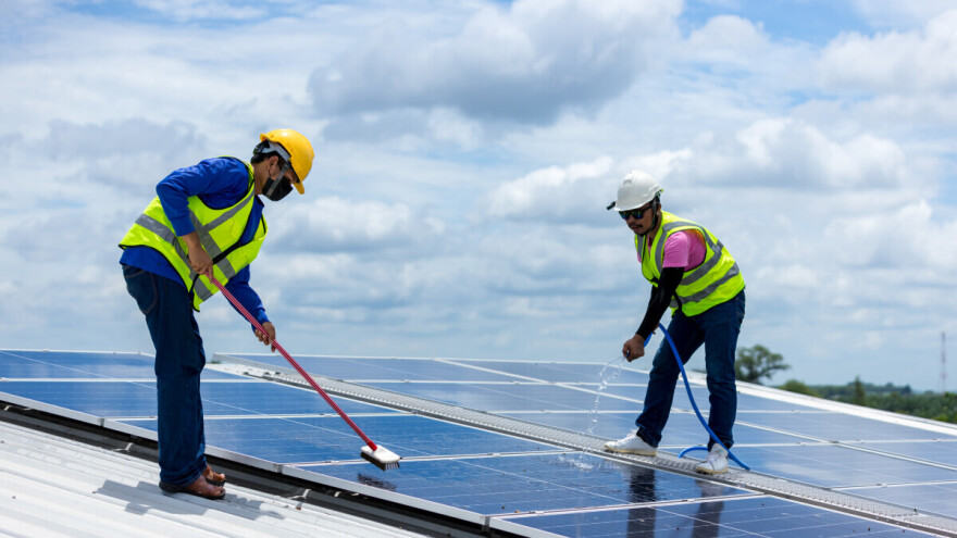 Čistili solarne panele i uneli virus ptičjeg gripa na farmu? Eutanazirano 28.000 pilića