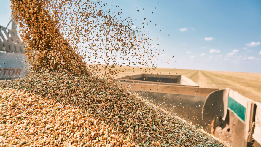 Rusija zauzima evropsko tržište pšenice - konkurencija bez presedana