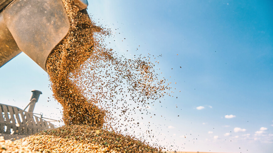 Stiže jeftina ruska pšenica i remeti planove EU izvoznika?