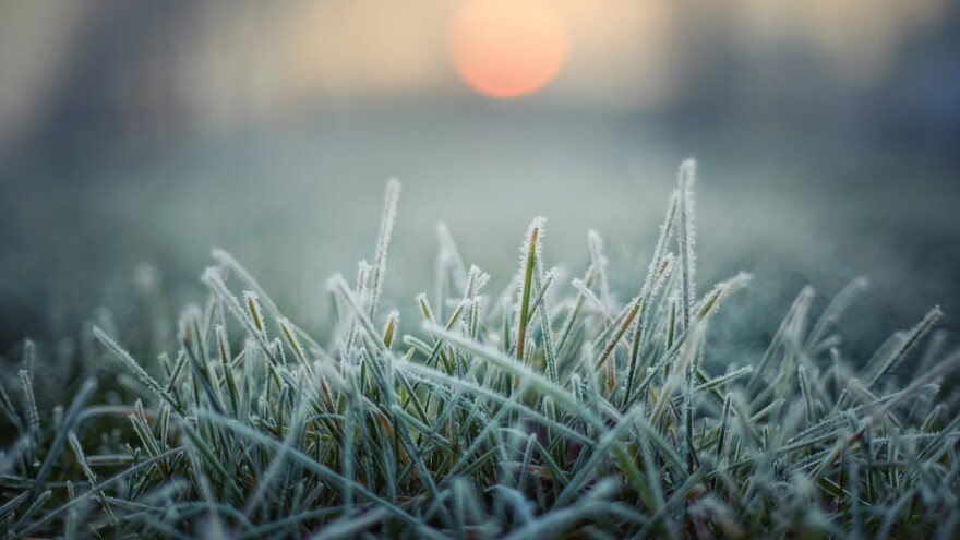 Izgledni prvi mrazevi, provedite mjere zaštite