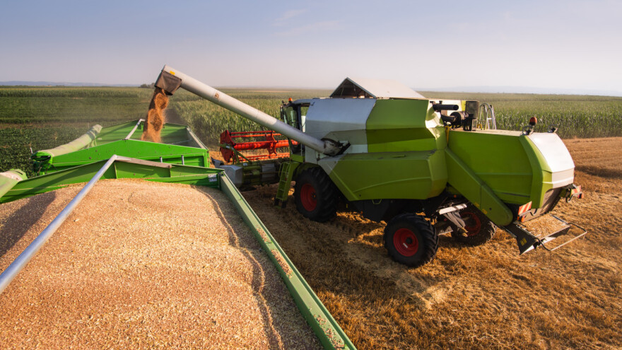 Kako izgleda prognoza za žitarice i uljarice u Evropi?