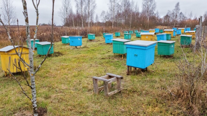 Dragoslav Jovanović četiri decenije u pčelarstvu