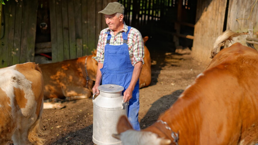 Novi pad proizvodnje mlijeka u BiH - objavljeni podaci za oktobar