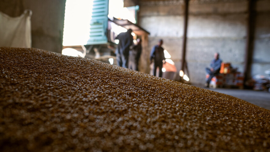 Rast cena žitarica obeležio je sedmicu