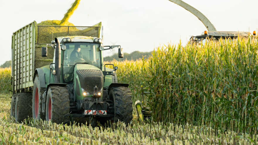 Rizik od mikotoksina veći nego prijašnjih godina