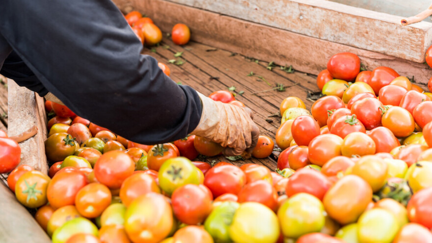 Osniva se Razvojna agencija RS - šta to znači za mala i srednja poduzeća