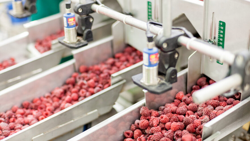 Malina "otišla" ispod cijene, proizvođači sve bliži odustajanju