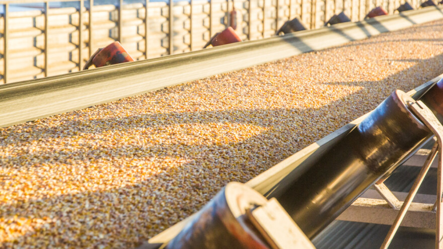 Koji su uslovi Rusije za produženje crnomorskog sporazuma o žitaricama?