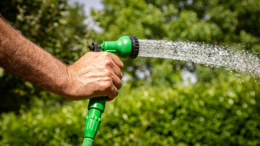 I živica treba vodu - evo pet savjeta za zalijevanje