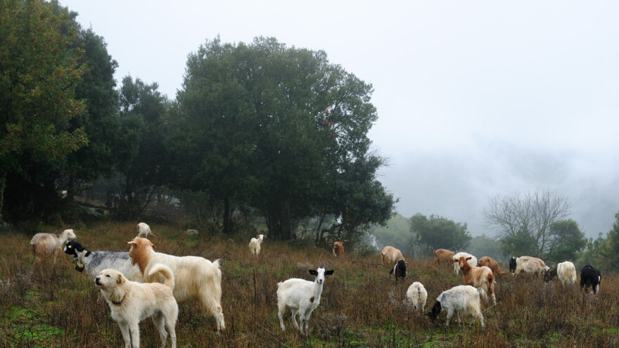 Odgovor kakva će naredna vegetacijska sezona biti stiže večeras