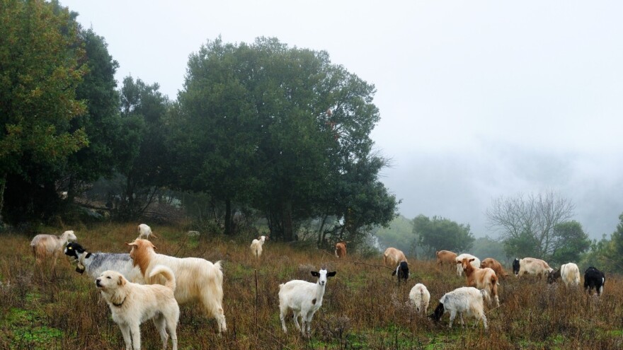 Počinje sezona oktobarskih kiša: Je li ovo kraj "sirotinjskog ljeta"?