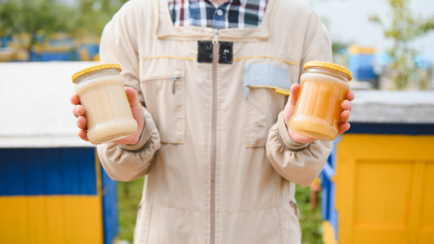 Lažni med: Zašto bi EU do 2030. mogla izgubiti pet milijuna pčelinjih zajednica?
