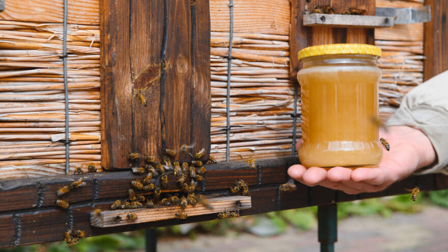 Umjetna inteligencija ulazi i u pčelarstvo