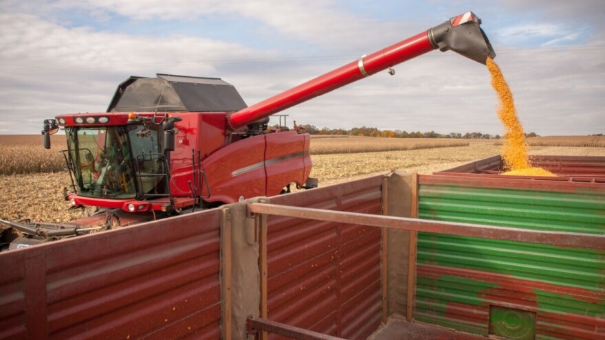 Rumunjska povećava proizvodnju kukuruza, Ukrajina sve prisutnija na kineskom tržištu