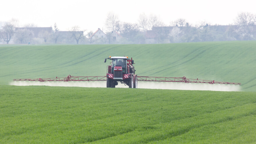 Obavijest proizvođačima ozimih žitarica - korov suzbijte na vrijeme