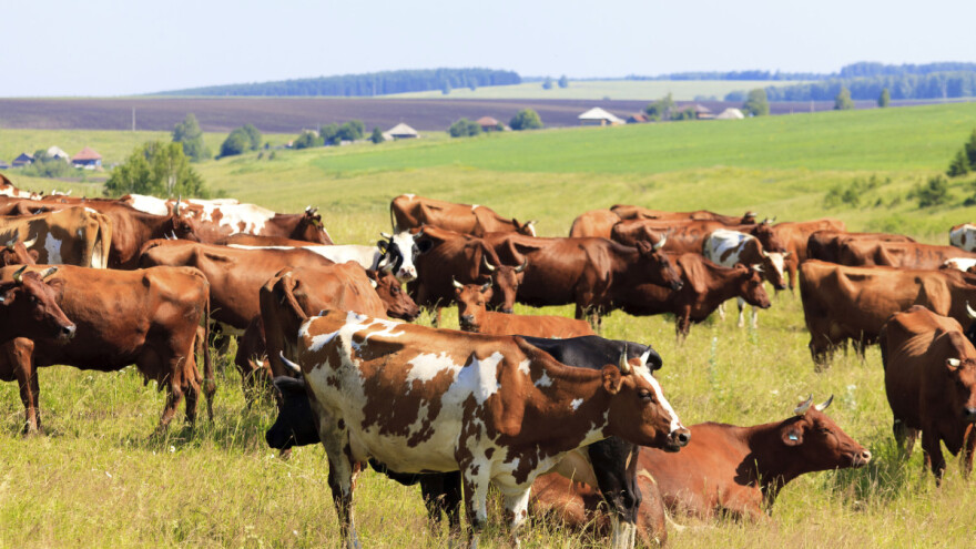 Ovog tjedna dodjela 64 ugovora iz Programa ruralnog razvoja