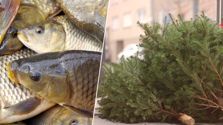 Pokušaj krađe na ribnjaku nije završio slavno, a krenule su i one božićnih jelki
