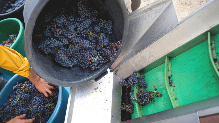 Vinska omotnica: Moguće je povećanje s 50 čak na 70%