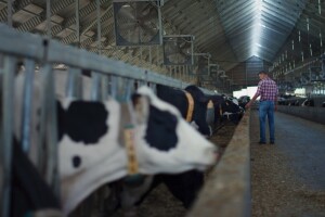 Poljoprivredni krediti (ne)moguća misija - rješenje je agrobanka?