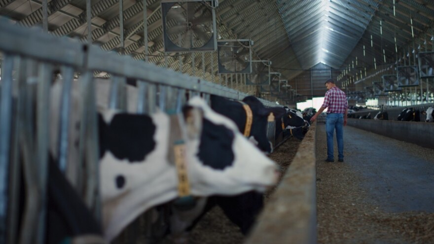 Poljoprivredni krediti (ne)moguća misija - rješenje je agrobanka?