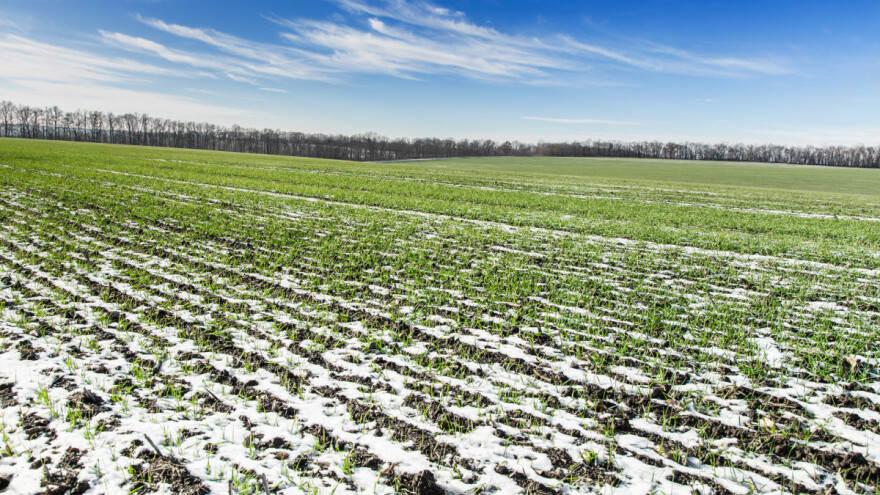 Još jedna zima bez snijega?