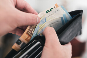 Što donose izmjene Pravilnika o provedbi izravne potpore poljoprivredi i IAKS mjera?