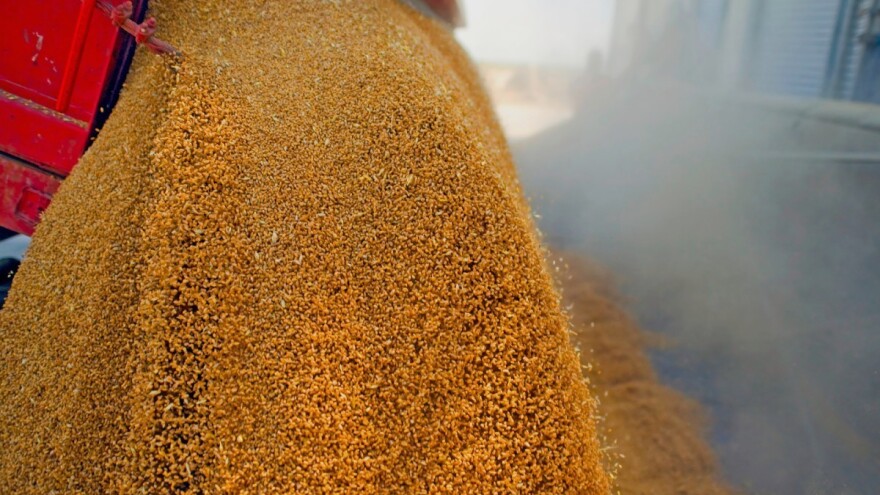 Nakon dugog perioda rasta - cijene žitarica u opadanju