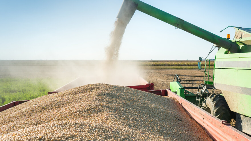 Uzgoj soje: Evropski ratari utrostručili proizvodnju