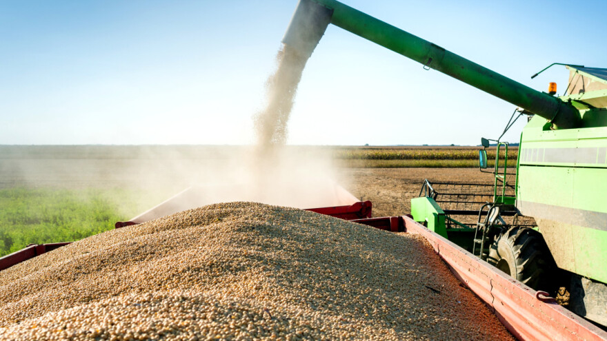 XXL prinos soje: Koliko su požnjeli evropski uzgajivači?