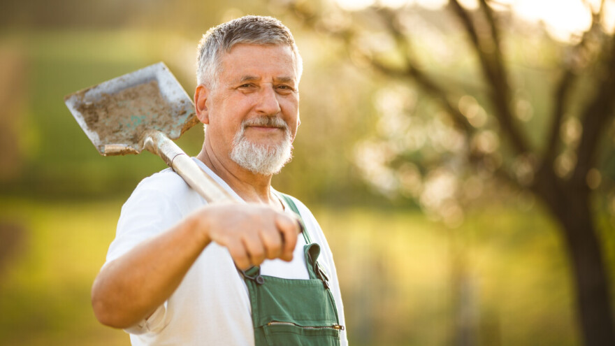 Osam novogodišnjih odluka jednog baštovana