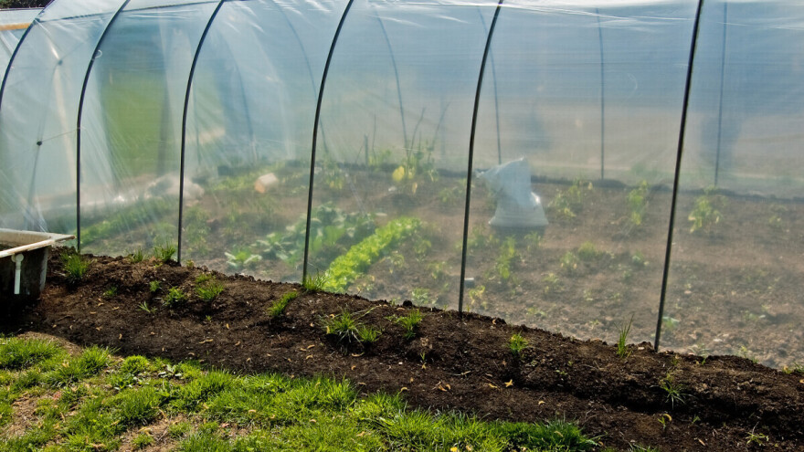 Raspisan poziv za dodjelu plastenika, ustupljeno i zemljište za proljetnu sjetvu