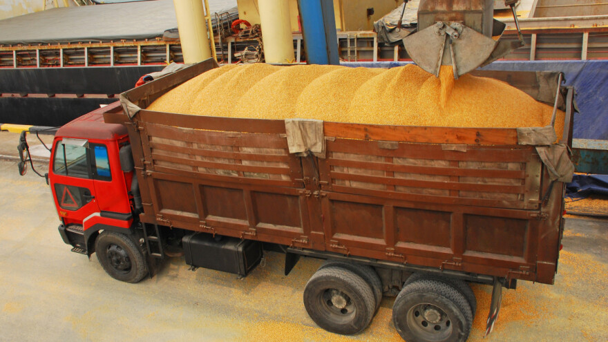 Na Produktnoj berzi najviše se trgovalo kukuruzom - cena?