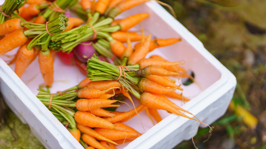 S tržišta opozvana mrkva porijeklom iz Portugala