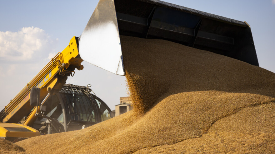 Euro poskupljuje izvoz, cijene žitarica pale nakon Uskrsa