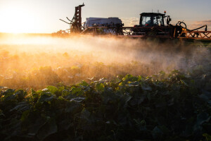 Kompanije zataškale studije o toksičnosti pesticida - koja je cijena?