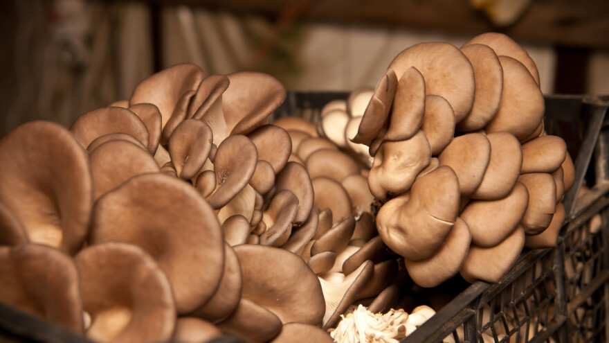 Komisija usvaja nova pravila za ZPP u shemi potpora za voće i povrće