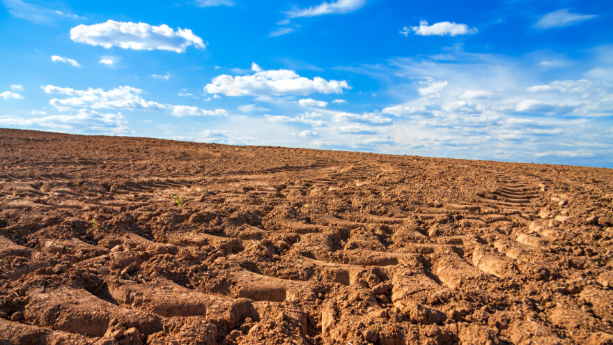 U Južnobačkom okrugu najskuplja njiva, prati ga Beogradski