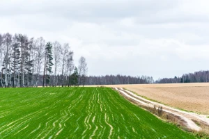 Protekli septembar najtopliji ikada: Kakva nas zima čeka?