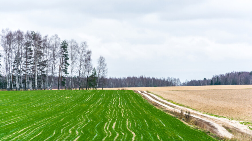 Protekli septembar najtopliji ikad: Kakva nas zima čeka?