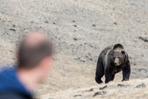 Medvjed napao pastira na Vlašiću, liječnici mu pokušavaju spasiti nogu